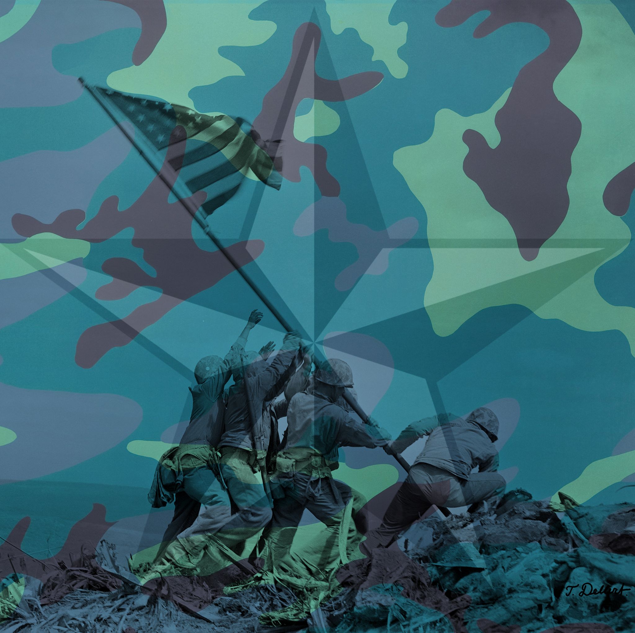 HOME OF THE BRAVE 1 copy